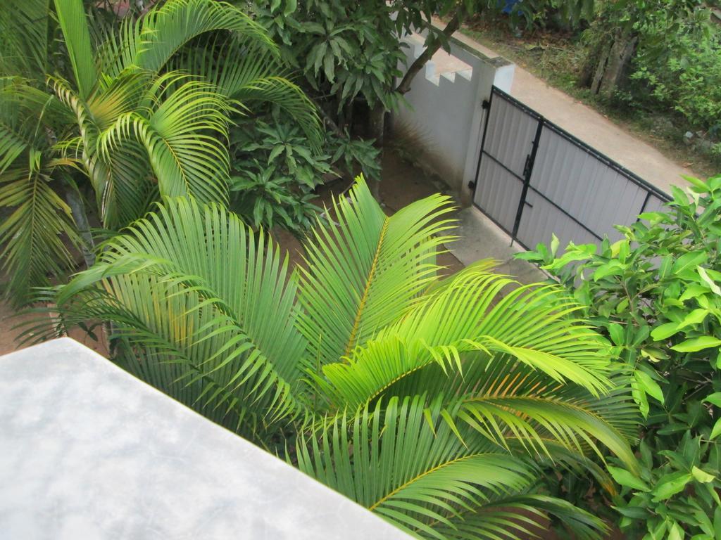 Bay Reach Home Stay Weligama Exterior foto